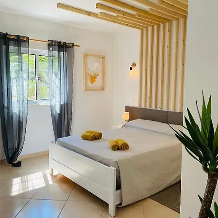 Travellers * ラゴス